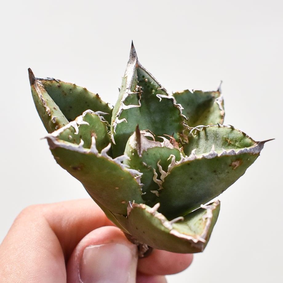 670fde865ec825117eb0bf07