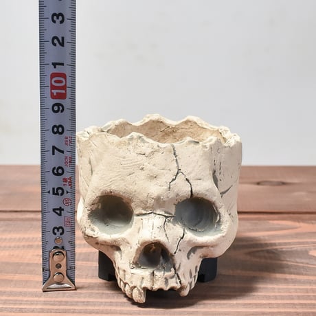 Matasuke Tatsumi（TEATOYA'S GALLERY）【Skull pot White】A
