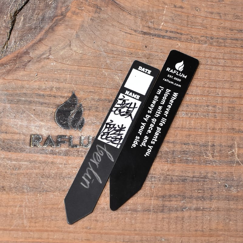 アガベ チタノタ 