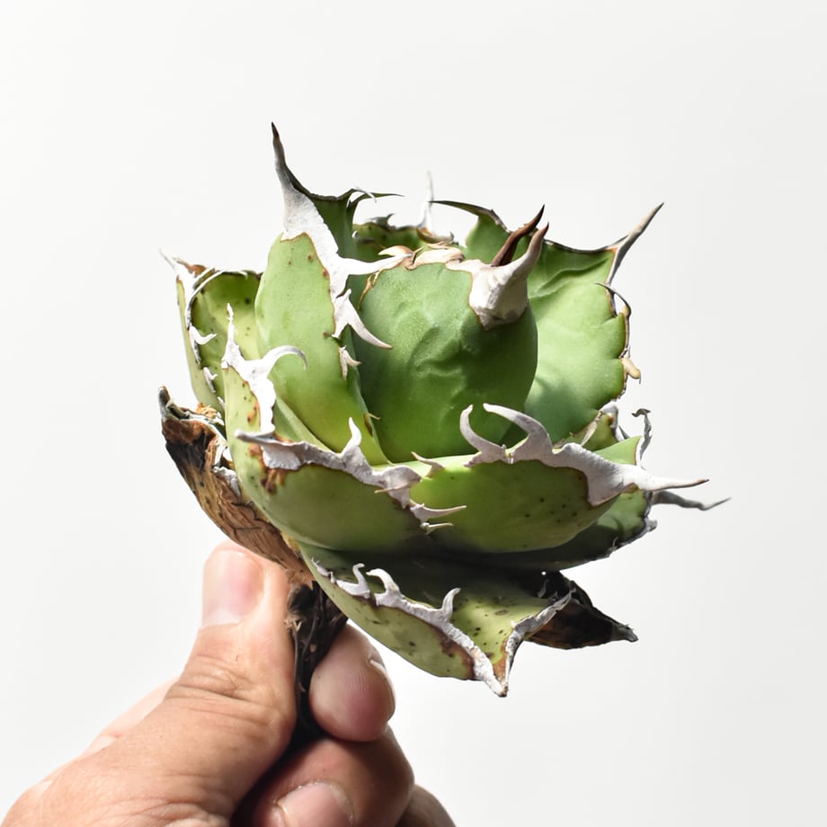 6a0e60d78ab3cb34e0dd3e09