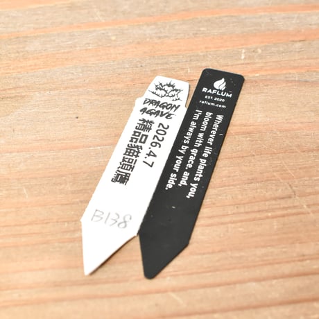 アガベ チタノタ 精品フクロウ / 精品猫頭鷹 , 精品アザラシ / 精品海豹 "大株"【台湾 dragon agave産/抜き苗/中株】B138