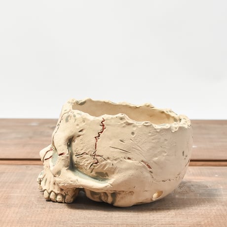 Matasuke Tatsumi（TEATOYA'S GALLERY）【Skull pot WHITE 】RFMT2409008