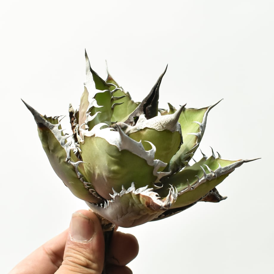 69f5840982808c97229e678d