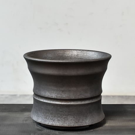 超特大　古木　フィカス　ミクロカルパ　25年物　陶器鉢のまま発送　コーデックス プランツマン・タカネザワ（塊根植物専門店）にてよこやま鉢販売