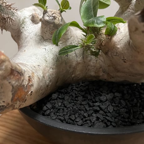 RAFLUM COSMETIC GRAVEL / コスメティック グラベル (化粧石 / 化粧砂利) "リニューアル版" / 三州瓦を使用した 化粧石 化粧砂利 RFDJ22001