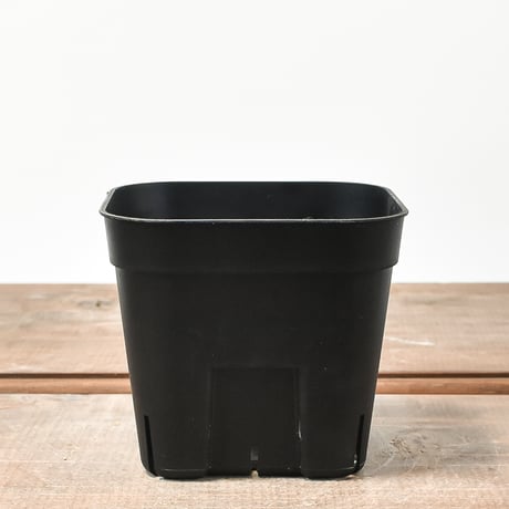 RAFLUM SLIT PLANTER サイズS/105  （3個セット）