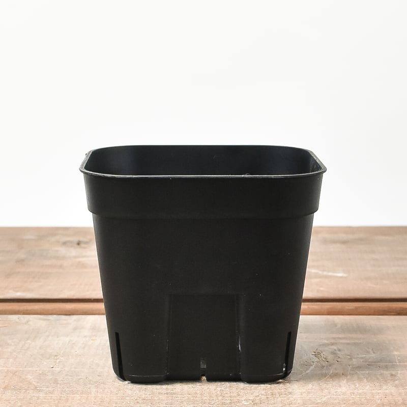 RAFLUM SLIT PLANTER サイズS/105 （3個セット） | RAFLUM