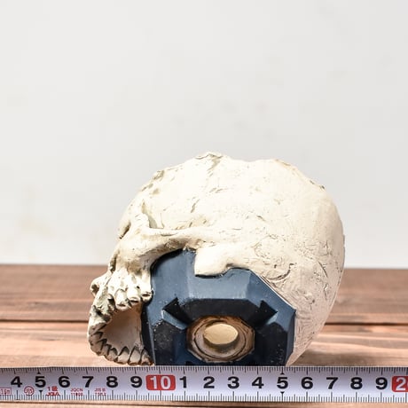 Matasuke Tatsumi（TEATOYA'S GALLERY）【Skull pot White 】RFMT24002