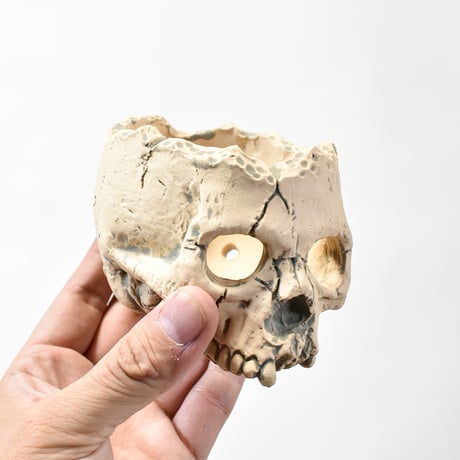 Matasuke Tatsumi（TEATOYA'S GALLERY）【Skull hole pot White】B