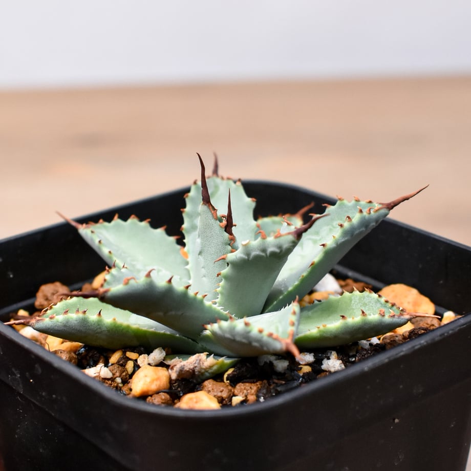 68ca3855e295353513a6b3fe