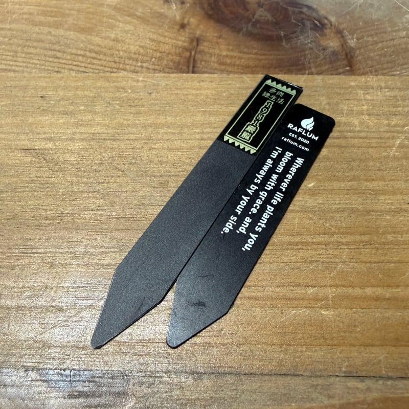 アガベ チタノタ 