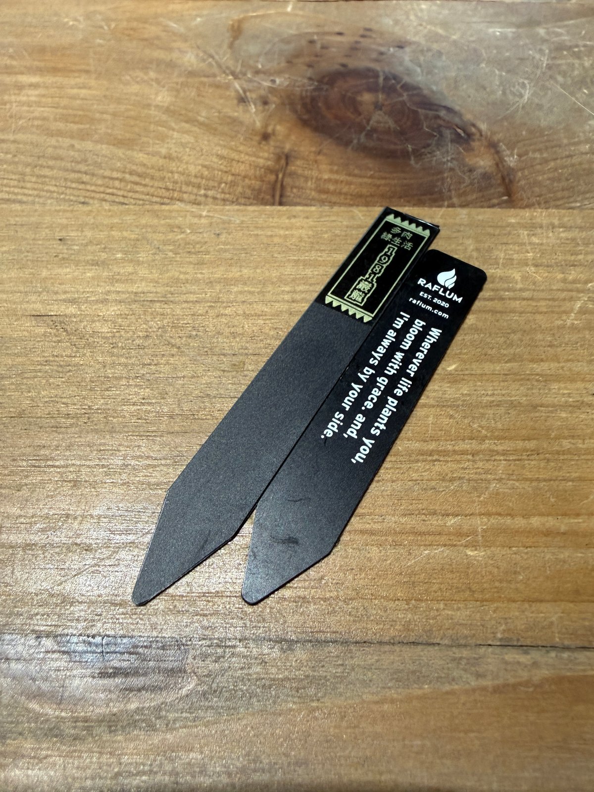 アガベ チタノタ 