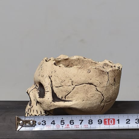 Matasuke Tatsumi（TEATOYA'S GALLERY）【Skull pot White 】type B