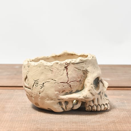 Matasuke Tatsumi（TEATOYA'S GALLERY）【Skull pot WHITE 】RFMT2409008