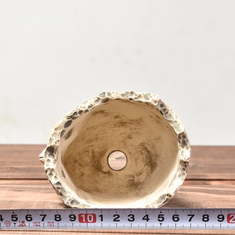 Matasuke Tatsumi（TEATOYA'S GALLERY）【Skull pot White 】RFMT24002