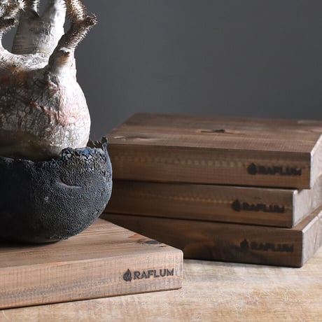 CATEGORY ウッドボード | RAFLUM / ラフラム｜東京、大阪の塊根植物
