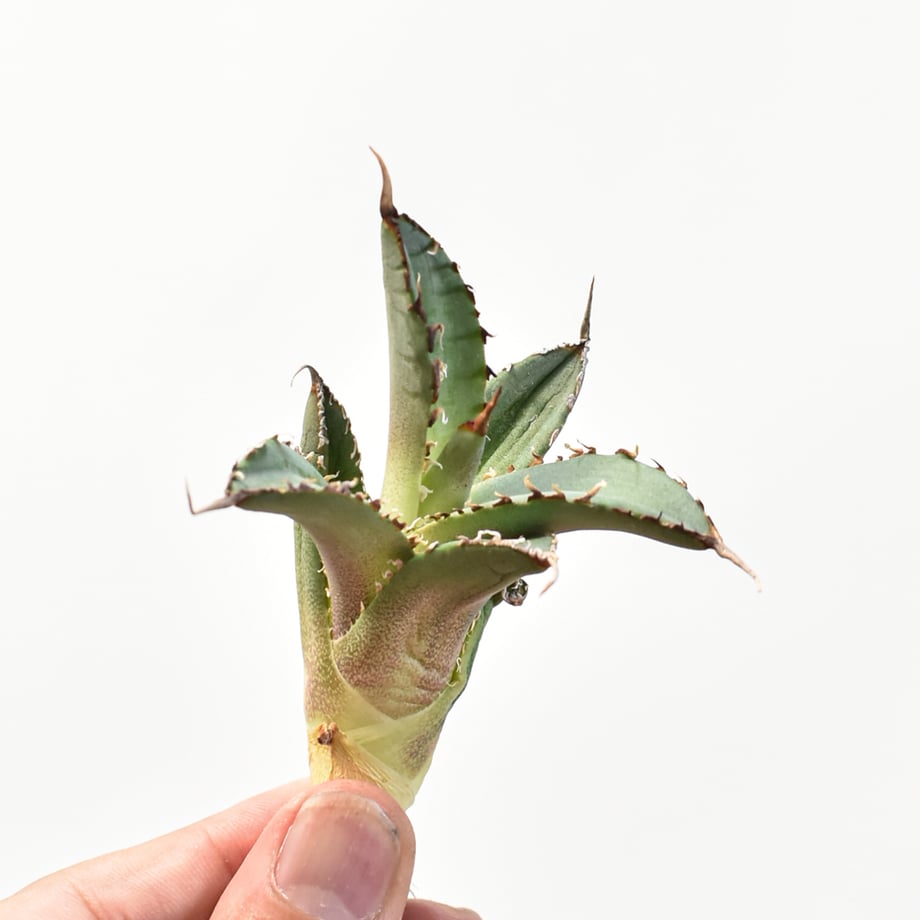 682e821e87ef5b3c136d1ea6
