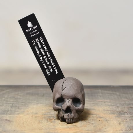 Matasuke Tatsumi（TEATOYA'S GALLERY）【Skull pebble TAG Black】RFMT23007