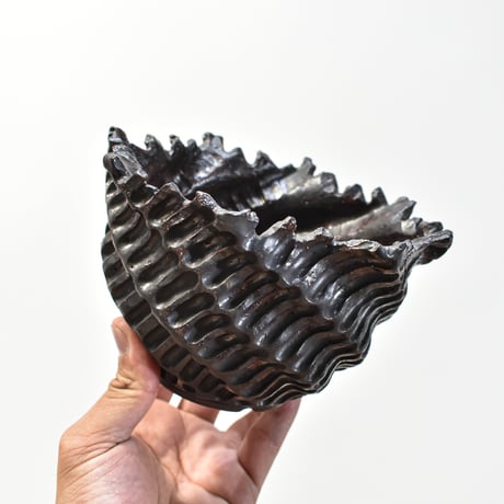 xiao.pottery / 蕭窯生活工作室【RFXI25030035 RFXI25030036 RFXI25030037 】