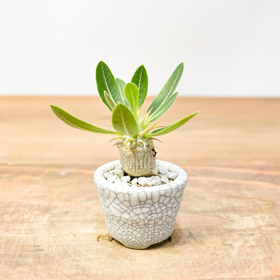 688375be9793943616f8d733