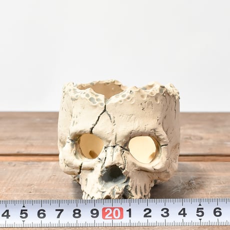 Matasuke Tatsumi（TEATOYA'S GALLERY）【Skull hole pot White】B