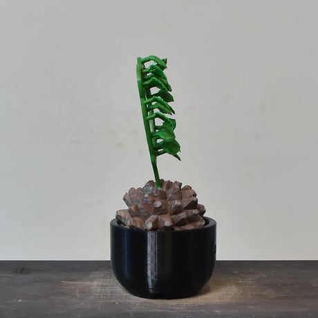 【植物フィギュア】RAFLUM × LOBINDON【Dioscorea elephantipes】RFLB23009