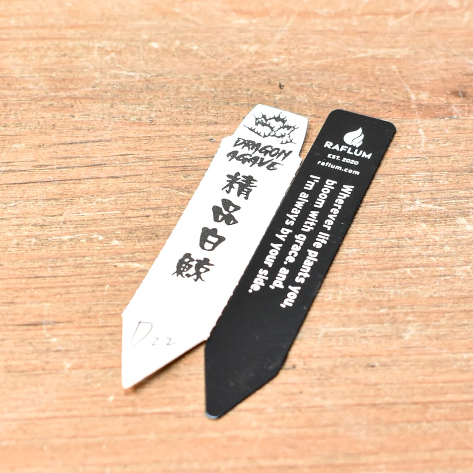 6a232afd92536617ee1a54ea