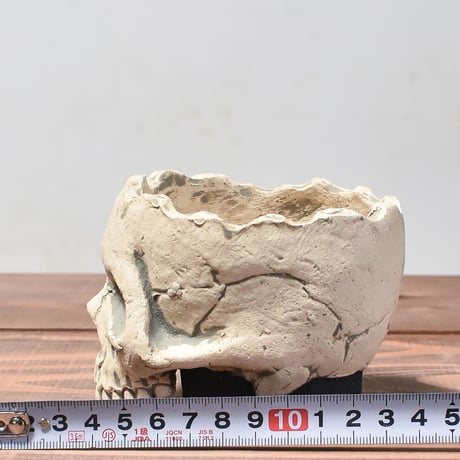 Matasuke Tatsumi（TEATOYA'S GALLERY）【Skull pot White】B