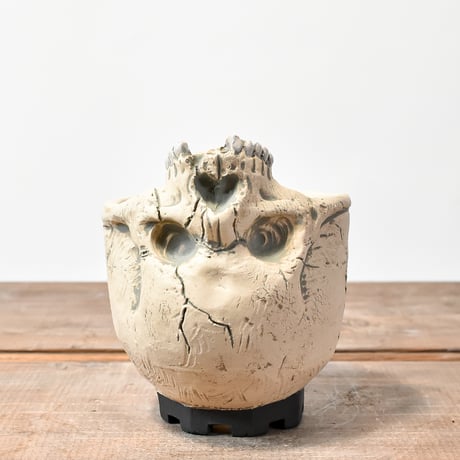 Matasuke Tatsumi Skull pot 辰巳又助 鉢 植木鉢 Matasuke Tatsumi Skull pot 辰巳又助 鉢 植木鉢 Matasuke