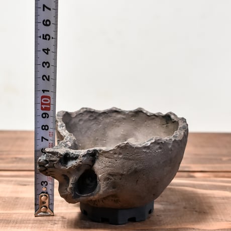 Matasuke Tatsumi（TEATOYA'S GALLERY）【Skull half face pot BLACK】RFMT24006(T)
