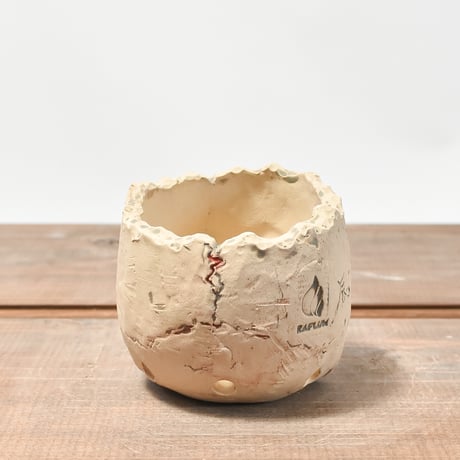 Matasuke Tatsumi（TEATOYA'S GALLERY）【Skull pot WHITE 】RFMT2409008
