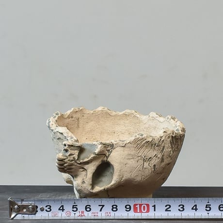 Matasuke Tatsumi（TEATOYA'S GALLERY）【Half face Skull pot White】RFMT23008W