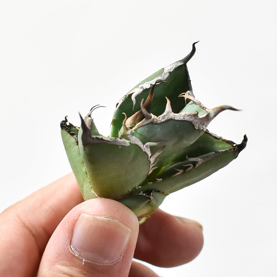 6722df7c4c7baf0a5d1a8afd