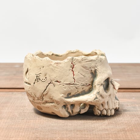 Matasuke Tatsumi（TEATOYA'S GALLERY）【Skull pot WHITE 】RFMT2409007