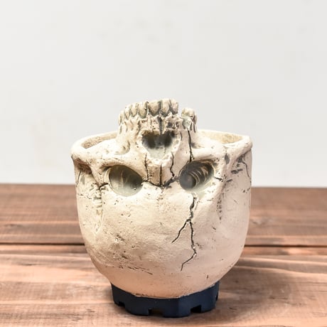 Matasuke Tatsumi（TEATOYA'S GALLERY）【Skull supine pot WHITE 】RFMT24004