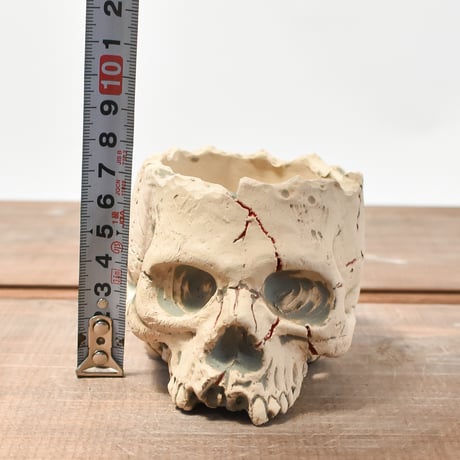 Matasuke Tatsumi（TEATOYA'S GALLERY）【Skull pot WHITE 】RFMT2409007