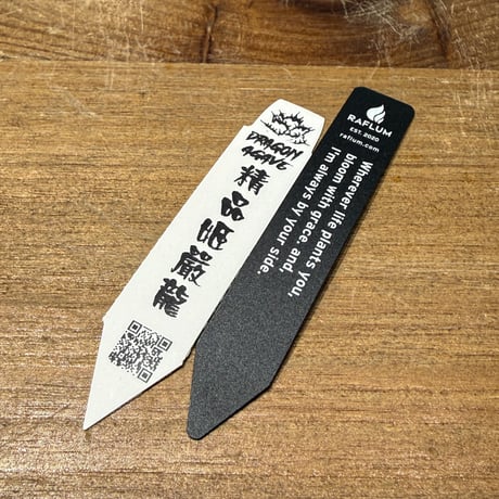 アガベ チタノタ ドワーフ / "精品姫厳龍" 【台湾 dragon agave産/中株/抜き苗】RF25011445