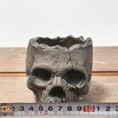 Matasuke Tatsumi（TEATOYA'S GALLERY）【Skull pot BLACK 】RFMT2409005