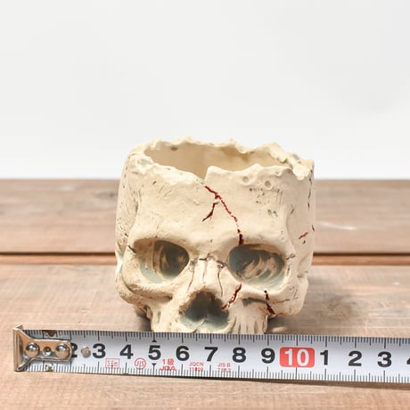 Matasuke Tatsumi（TEATOYA'S GALLERY）【Skull pot WHITE 】RFMT2409007