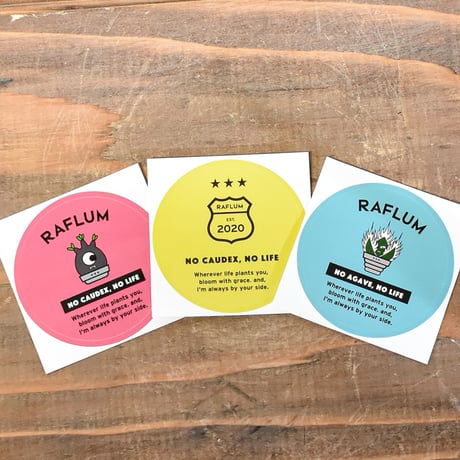 【送料無料】RAFLUM "3" STAR EMBLEM【Sサイズ各色1枚、3枚入りセット】RF25011188