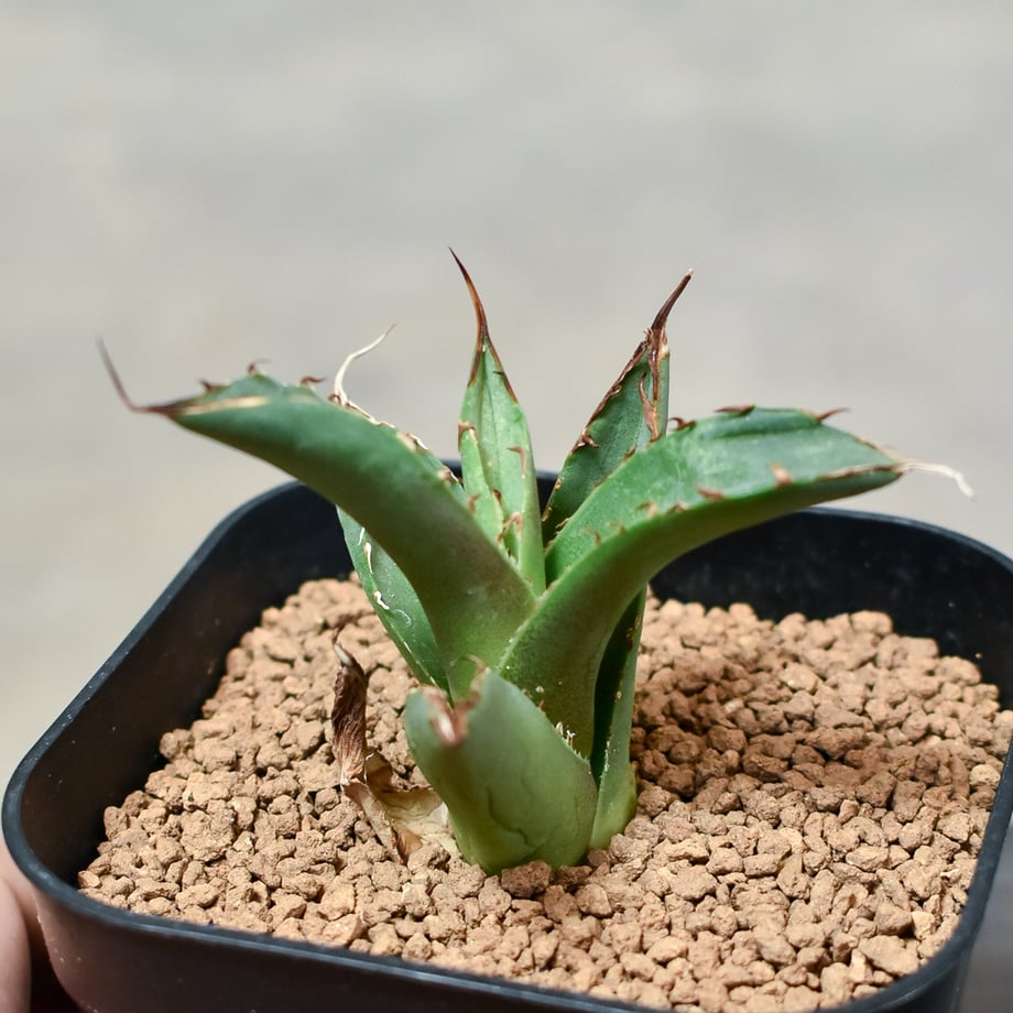 648848476aabc3002b24fc68