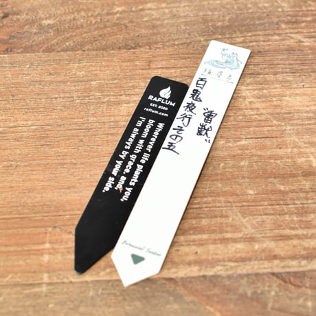 【百鬼夜行 その五】アガベ 雷帝×妖炎 "雷獣"【台湾botanical_seeker産】RF25012410