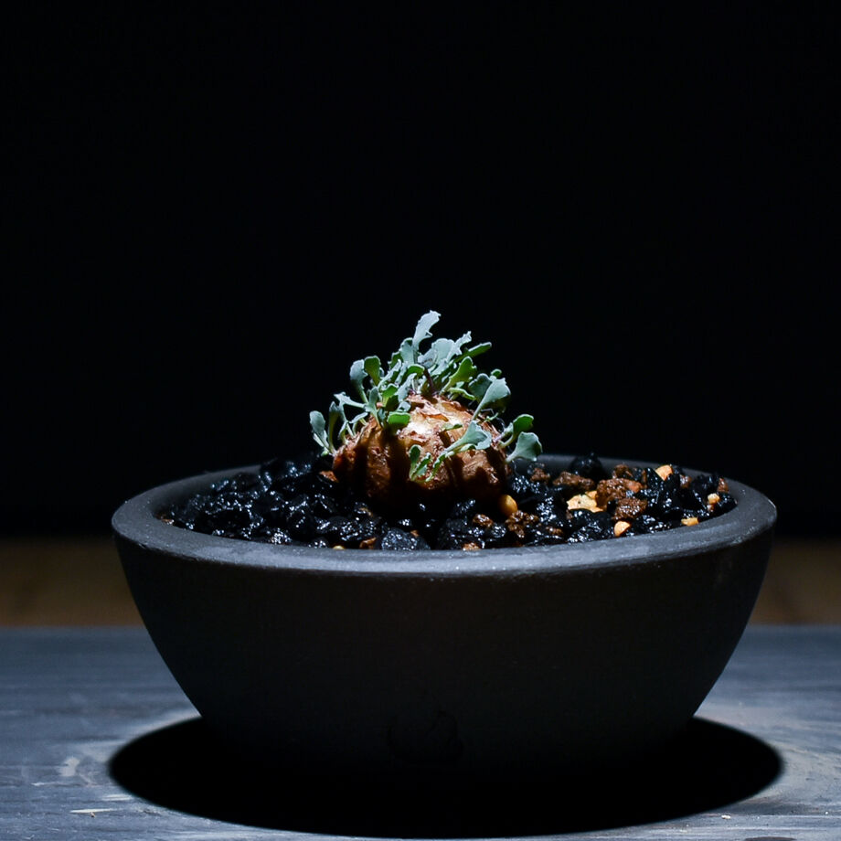 H*H様 オトンナ カカリオイデス 実生4年生4株セット Othonna cacalioides【オトンナ・カカリオイデス】 | RIMO'S