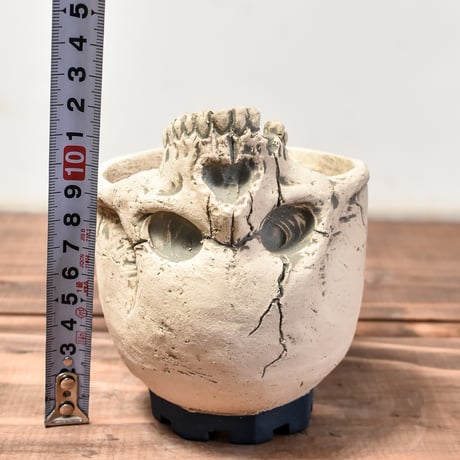 Matasuke Tatsumi（TEATOYA'S GALLERY）【Skull supine pot WHITE 】RFMT24004