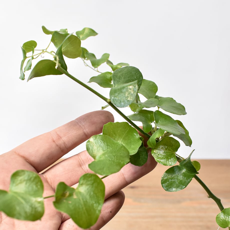 69461ffd59d7980db982dda3
