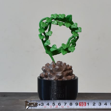 【植物フィギュア】RAFLUM × LOBINDON【Dioscorea elephantipes】RFLB23009