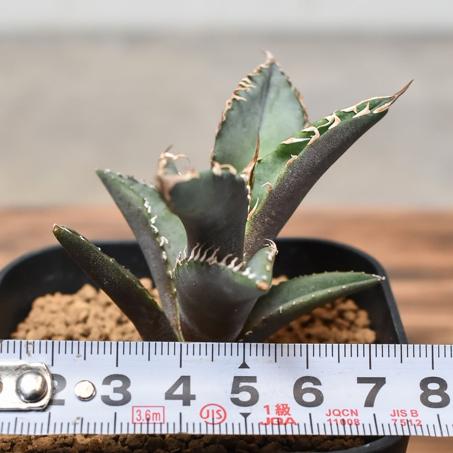 64884e05393892005f61cd02