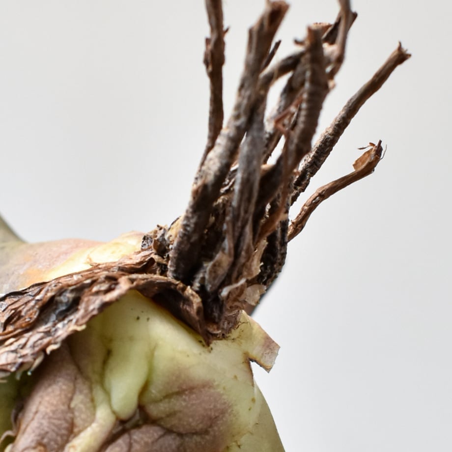 6692617c9b5b82143b9a6587