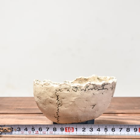 Matasuke Tatsumi（TEATOYA'S GALLERY）【Skull half face pot WHITE】RFMT24007(T)