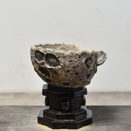 Matasuke Tatsumi（TEATOYA'S GALLERY）【Half face Skull pot Black/高台付き】RFMT23014